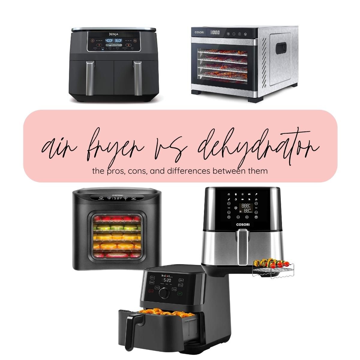 Food Dehydrator vs Air Fryer – The Difference + Recipes