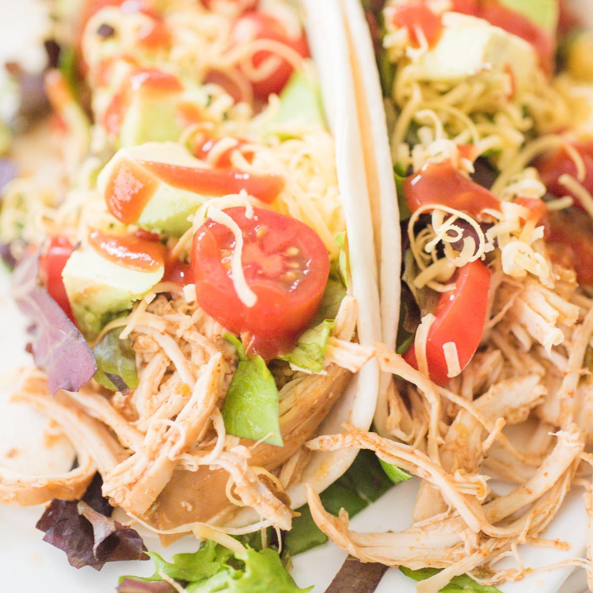 Home-style Crockpot Shredded Chicken for Chicken Tacos
