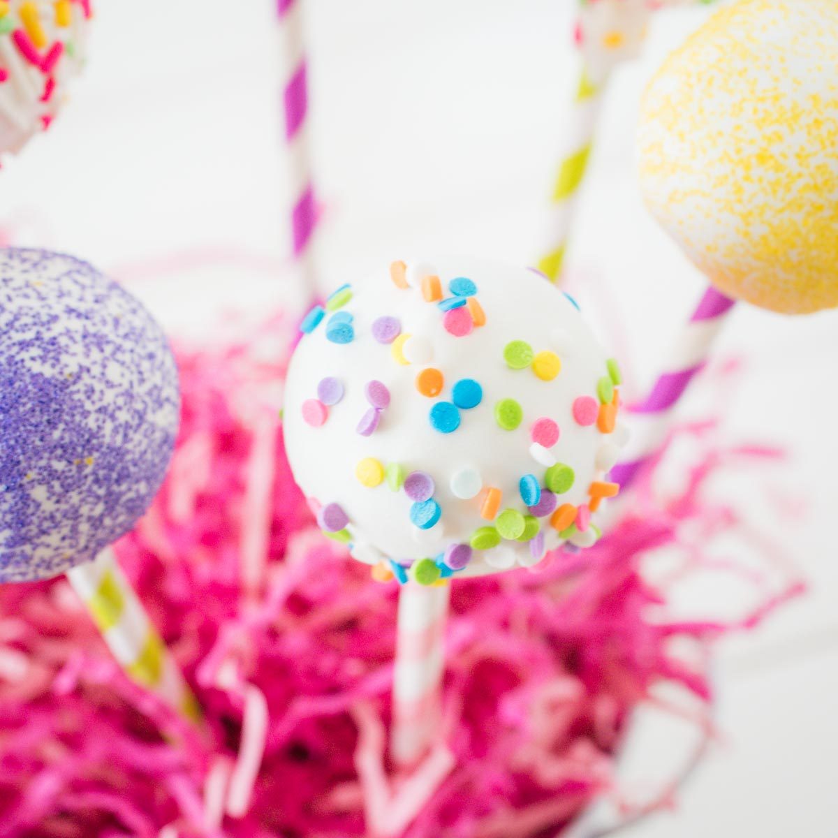 Easter Cake Pops – Full Guide for How to cook & Transport