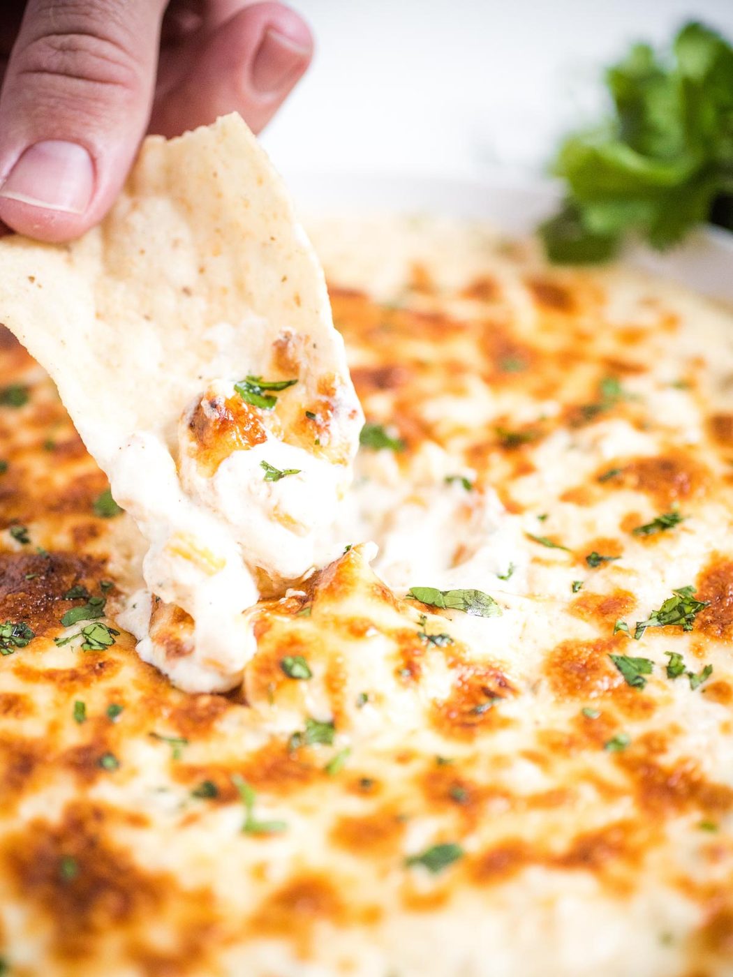 chip dipping into green chile queso blanco dip