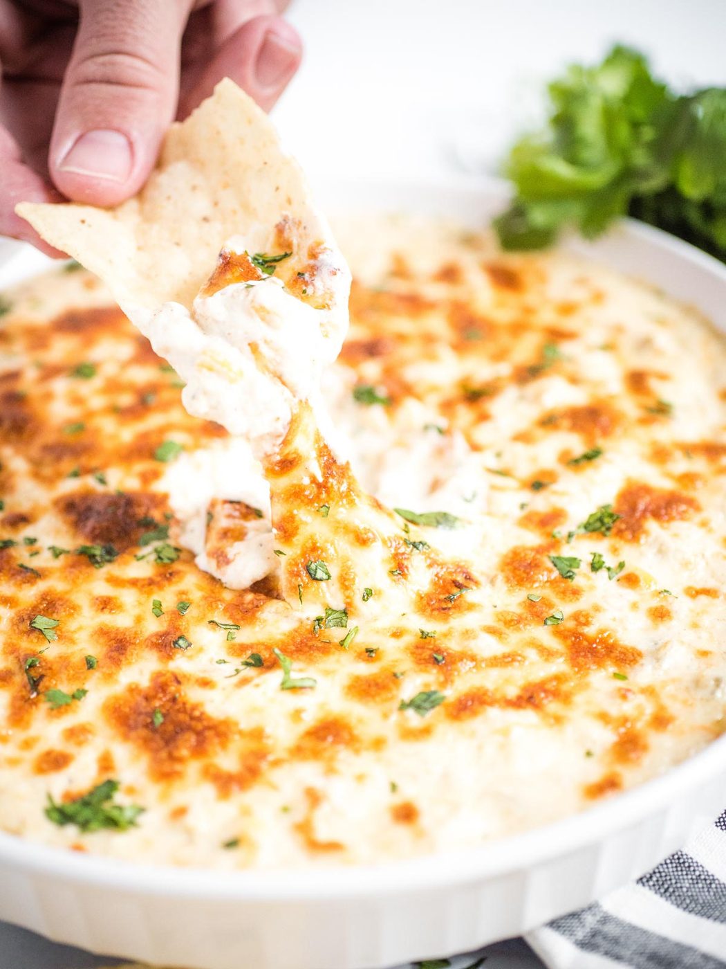 chip dipping into green chile queso blanco dip with cheese stretch