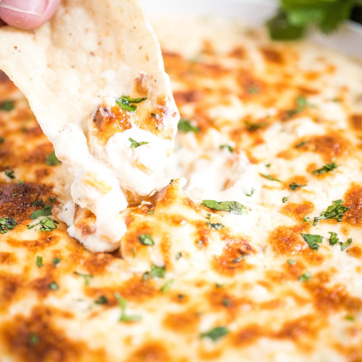 Green Chile Queso and Cream Cheese
