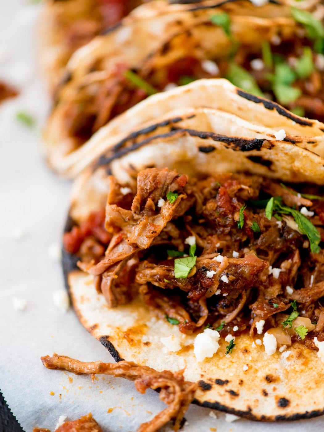 mexican shredded beef inside tacos topped with cilantro and queso fresco
