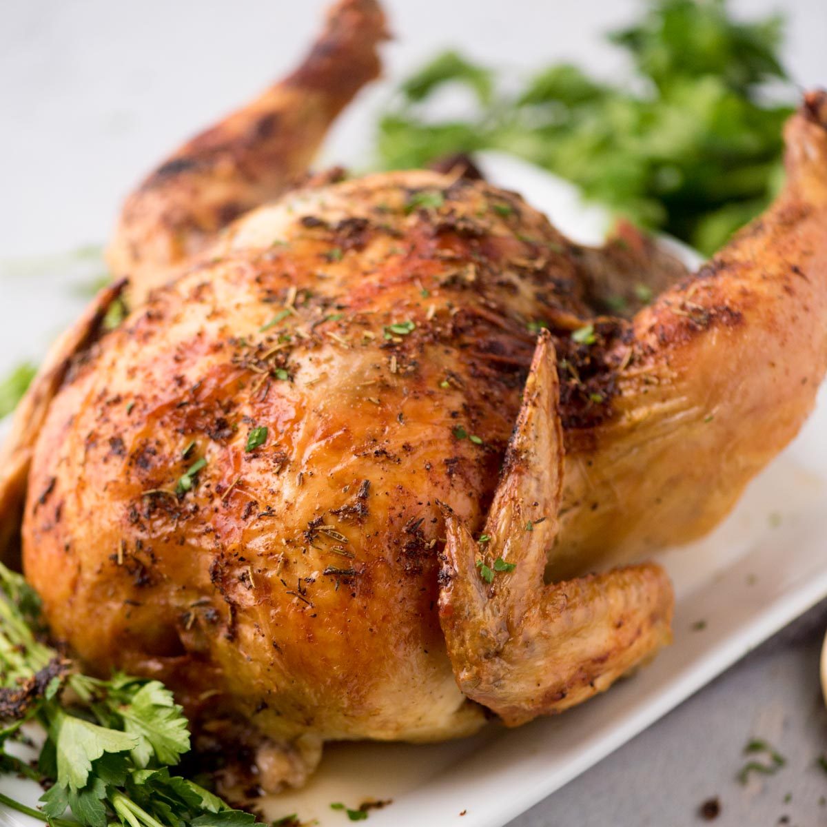 Whole Young Chicken, roasted