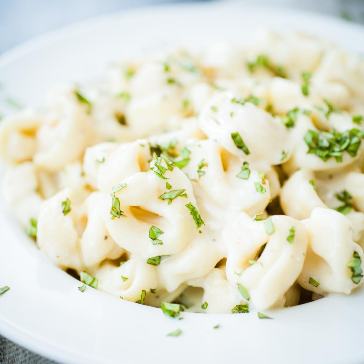 From-scratch Basil and Roasted Garlic Alfredo Pasta Sauce