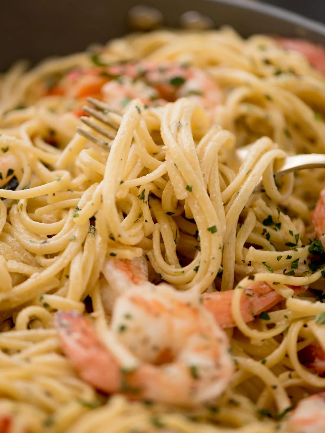 A close-up of shrimp linguine garnished with parsley. The shrimp pasta is twirled around a fork, highlighting the creamy texture and succulent shrimp pieces.