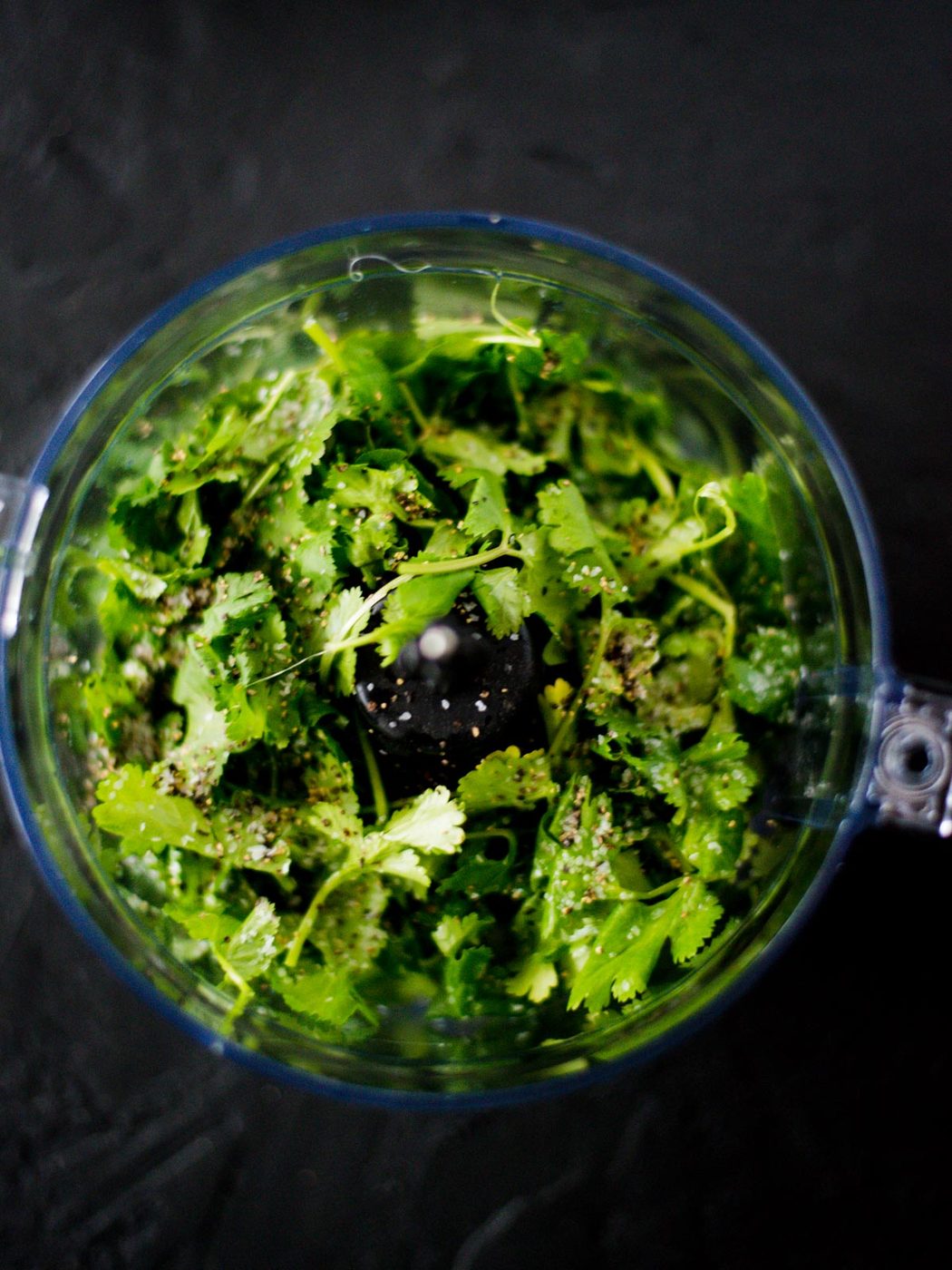 ingredients in food processor