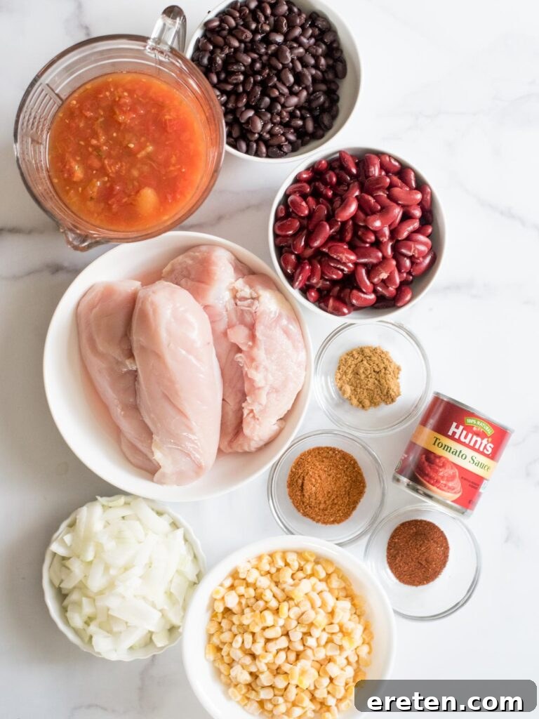 A vibrant collection of fresh and canned ingredients neatly arranged on a countertop, showcasing everything needed to prepare the delicious Mexican chili.