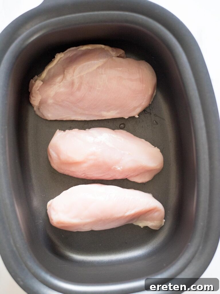 Raw chicken breasts layered at the bottom of a slow cooker, ready for seasoning and other ingredients.