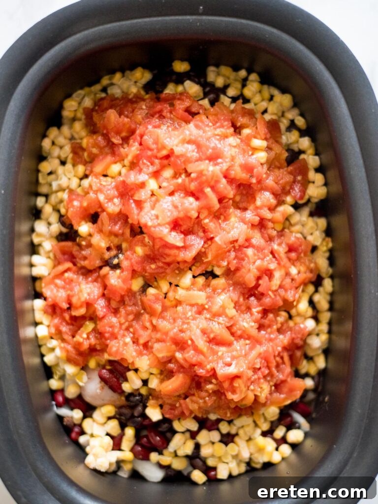 Cans of Rotel (diced tomatoes with green chiles) are added to the slow cooker, contributing a flavorful and slightly spicy tomato base.