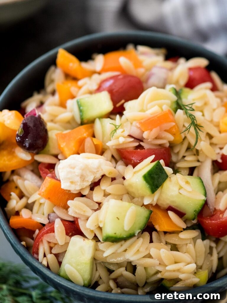 orzo salad in a bowl topped with fresh dill