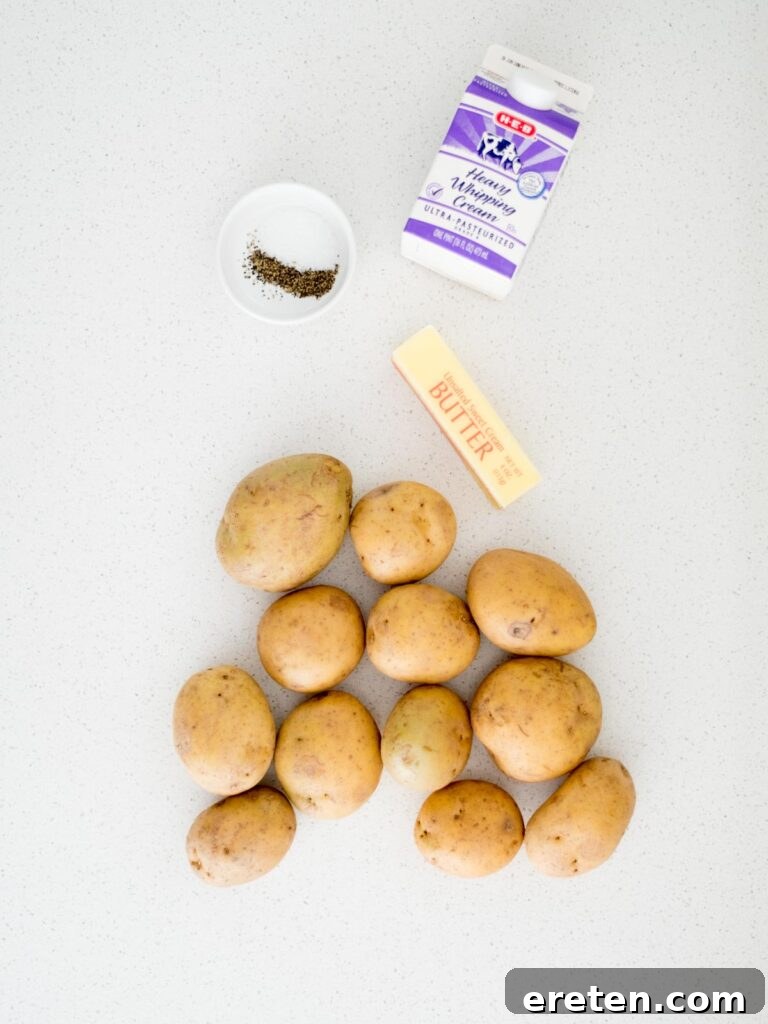 Ingredients shown that are needed to make southern mashed potatoes.