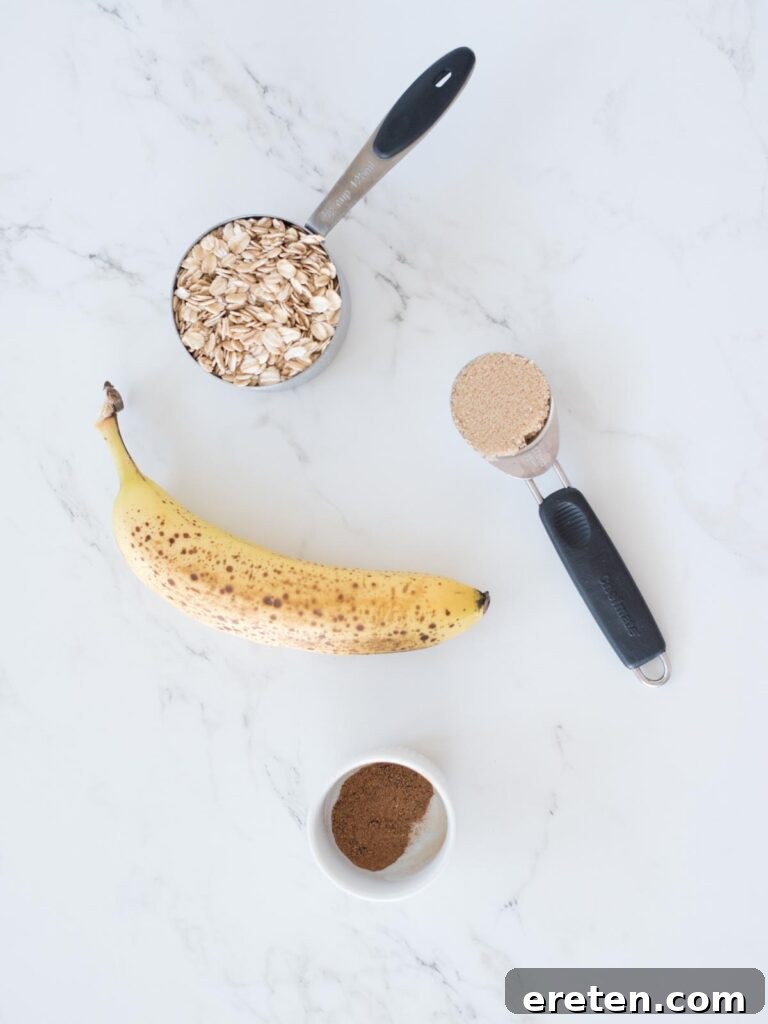 Cozy Banana Bread Oatmeal 3 ingredients to make banana oatmeal