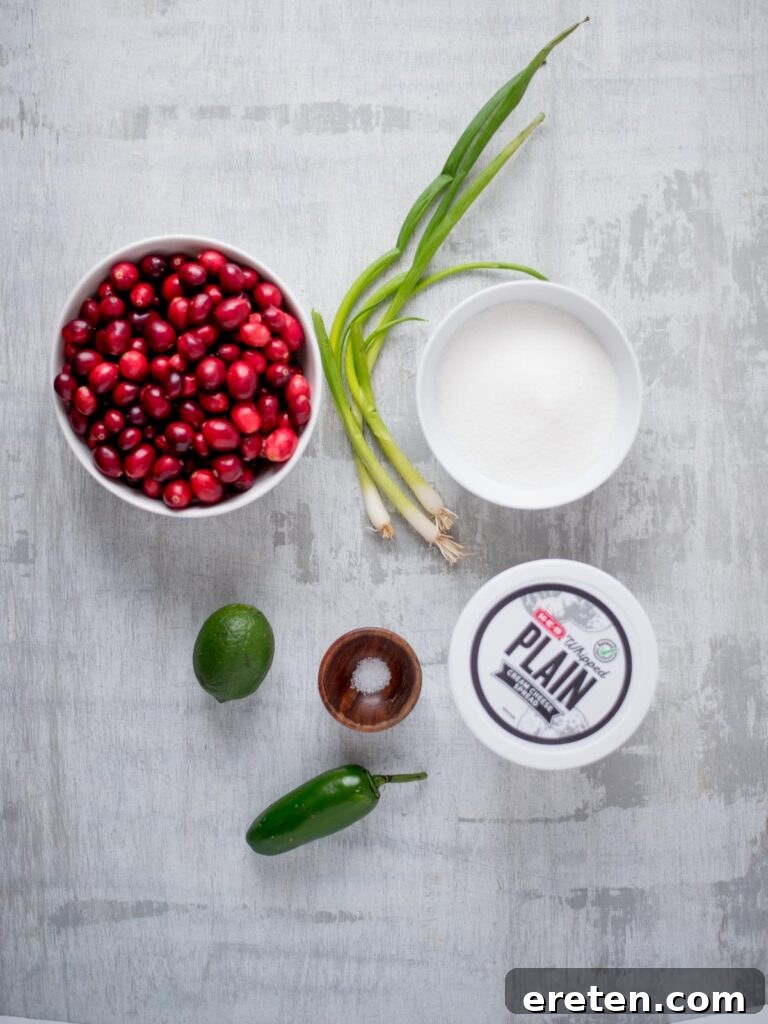 Sweet Heat Cranberry Jalapeño Dip 3 Assortment of fresh ingredients including cranberries, green onions, jalapeños, lime, and sugar, ready for making the dip.