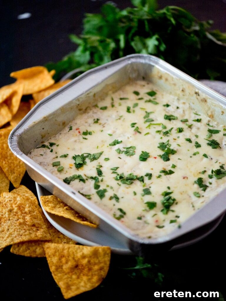Golden corn tortilla chips artfully arranged around a baking dish filled with bubbling, creamy smoked queso blanco dip, ready for serving.