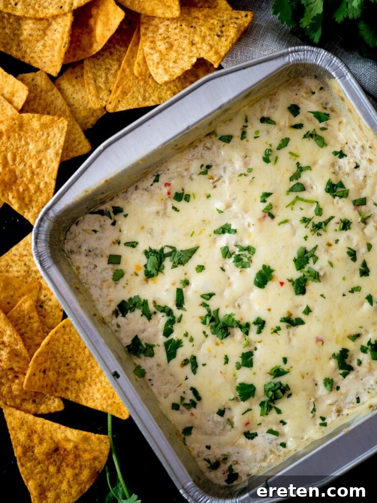 A baking dish of creamy smoked queso blanco, perfectly golden and bubbly, positioned alongside a mound of crispy corn tortilla chips.