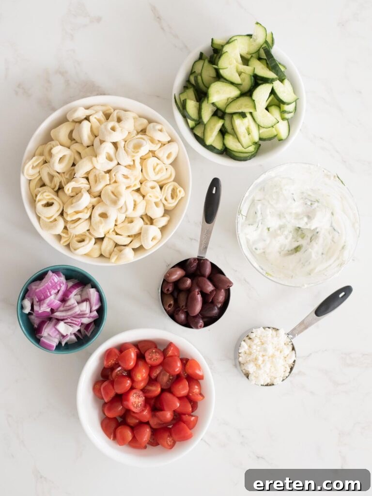 Mediterranean Tortellini Pasta Salad 3 A beautiful flat lay of fresh ingredients laid out for Greek pasta salad: cucumbers, tomatoes, red onion, feta, Kalamata olives, and uncooked tortellini.