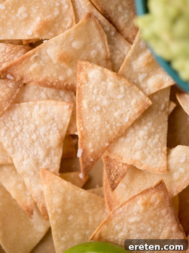 A bunch of salted baked tortilla chips.