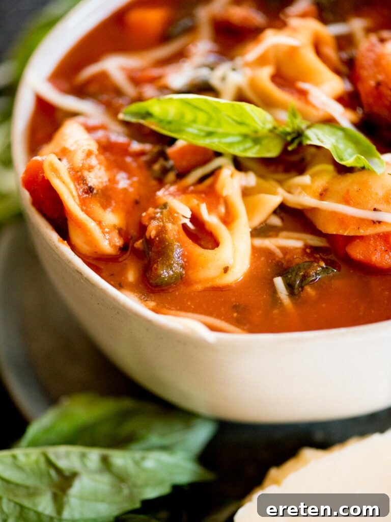 spinach tortellini soup topped with grated parmesan and fresh basil
