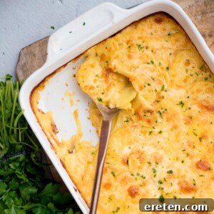 Top view of a serving spoon resting in golden brown cheesy au gratin potatoes with a serving removed.
