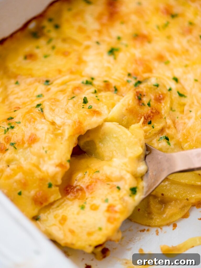 Serving spoon with a scoop of au gratin potatoes coming out of the baking dish ready to serve.