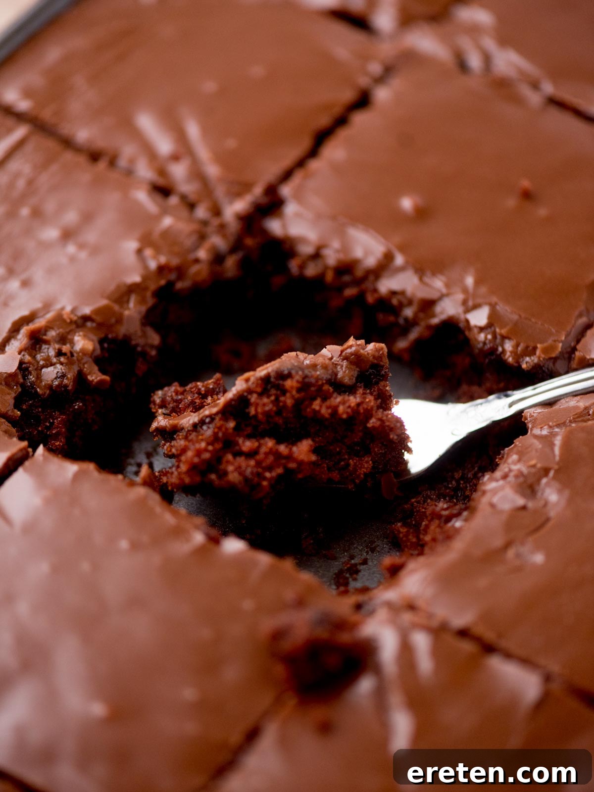 A close-up shot of a perfectly cut slice of Texas Sheet Cake, revealing its moist, dark chocolate crumb and glossy, fudgy frosting, ready to be enjoyed.