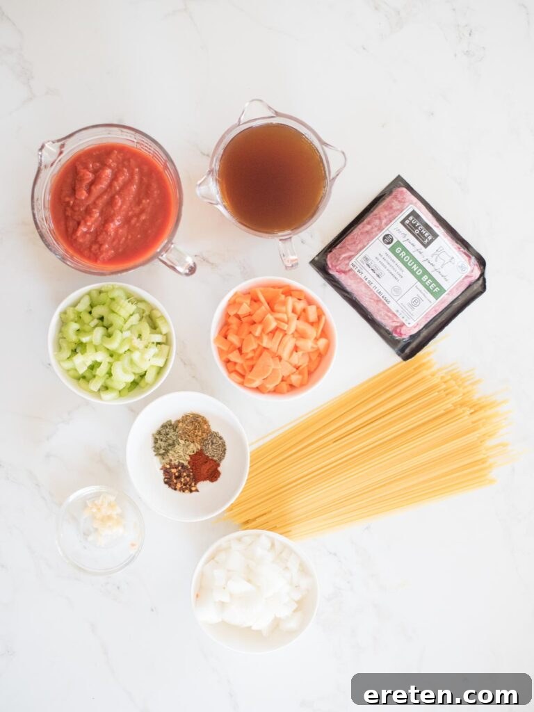 Hearty Instant Pot Spaghetti with Savory Meat Sauce 3 Ingredients to make Instant Pot spaghetti recipe