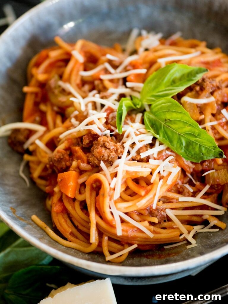 Hearty Instant Pot Spaghetti with Savory Meat Sauce 10 Instant Pot spaghetti with meat sauce in a bowl topped with basil and parmesan