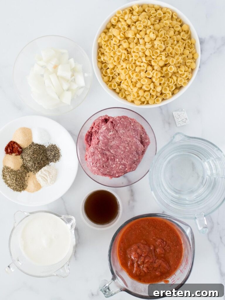 Homemade Instant Pot Cheeseburger Mac 3 Instant Pot Ground Beef and Pasta ingredients