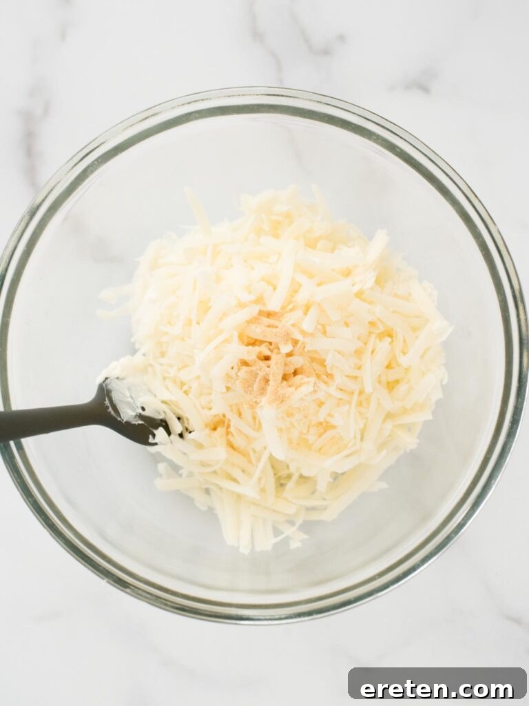 Spicy Artichoke Jalapeno Fusion 7 Garlic powder sprinkled over the cheese mixture in the bowl.