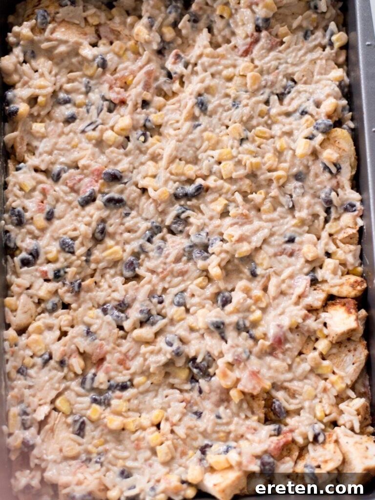 Final layer of rice mixture added over the seasoned chicken in the baking dish, smoothing it out.