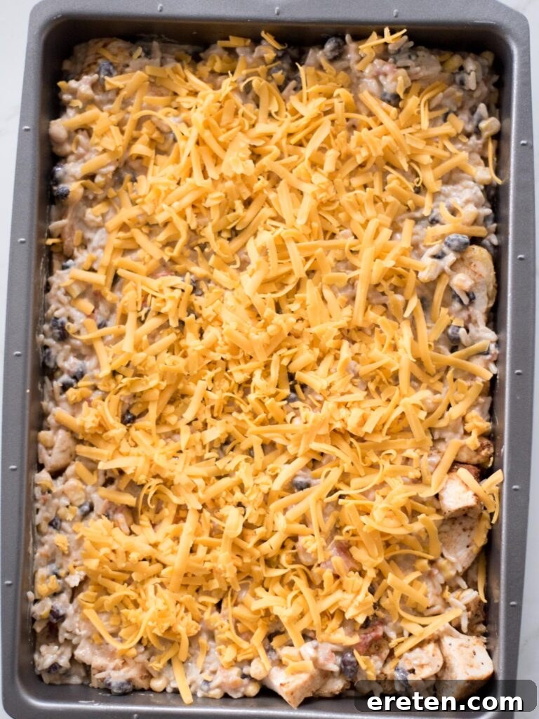 Shredded cheese generously sprinkled over the top layer of rice mixture in a baking dish, ready for baking.