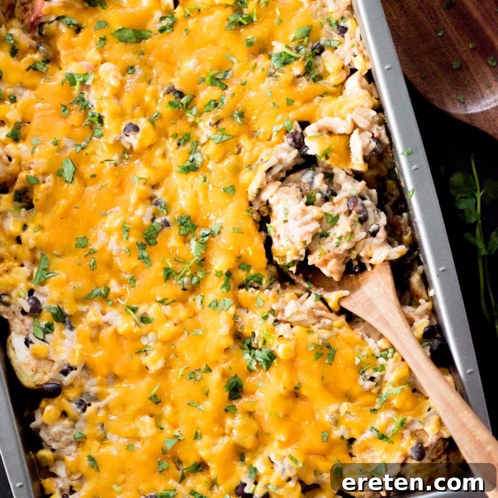 Wooden spoon scooping up a generous helping of Tex-Mex Chicken with black beans and rice from the baking dish, showing the creamy texture and integrated ingredients.