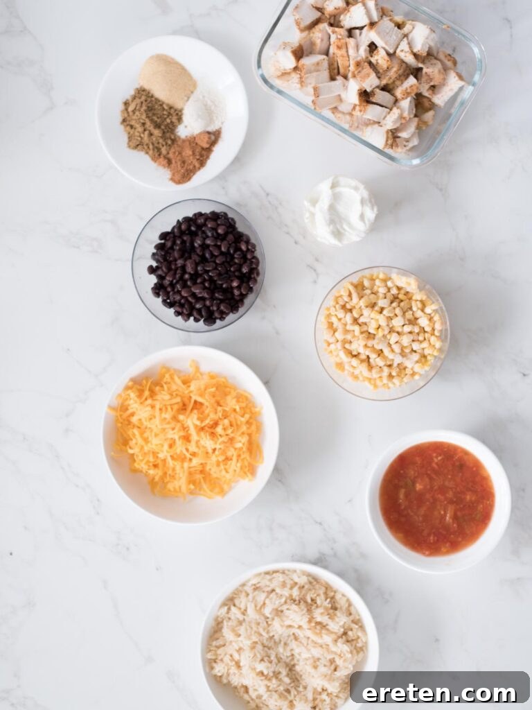 Individual ingredients for Tex-Mex chicken and black bean casserole laid out on a kitchen counter, including chicken, rice, beans, corn, spices, and cheese.