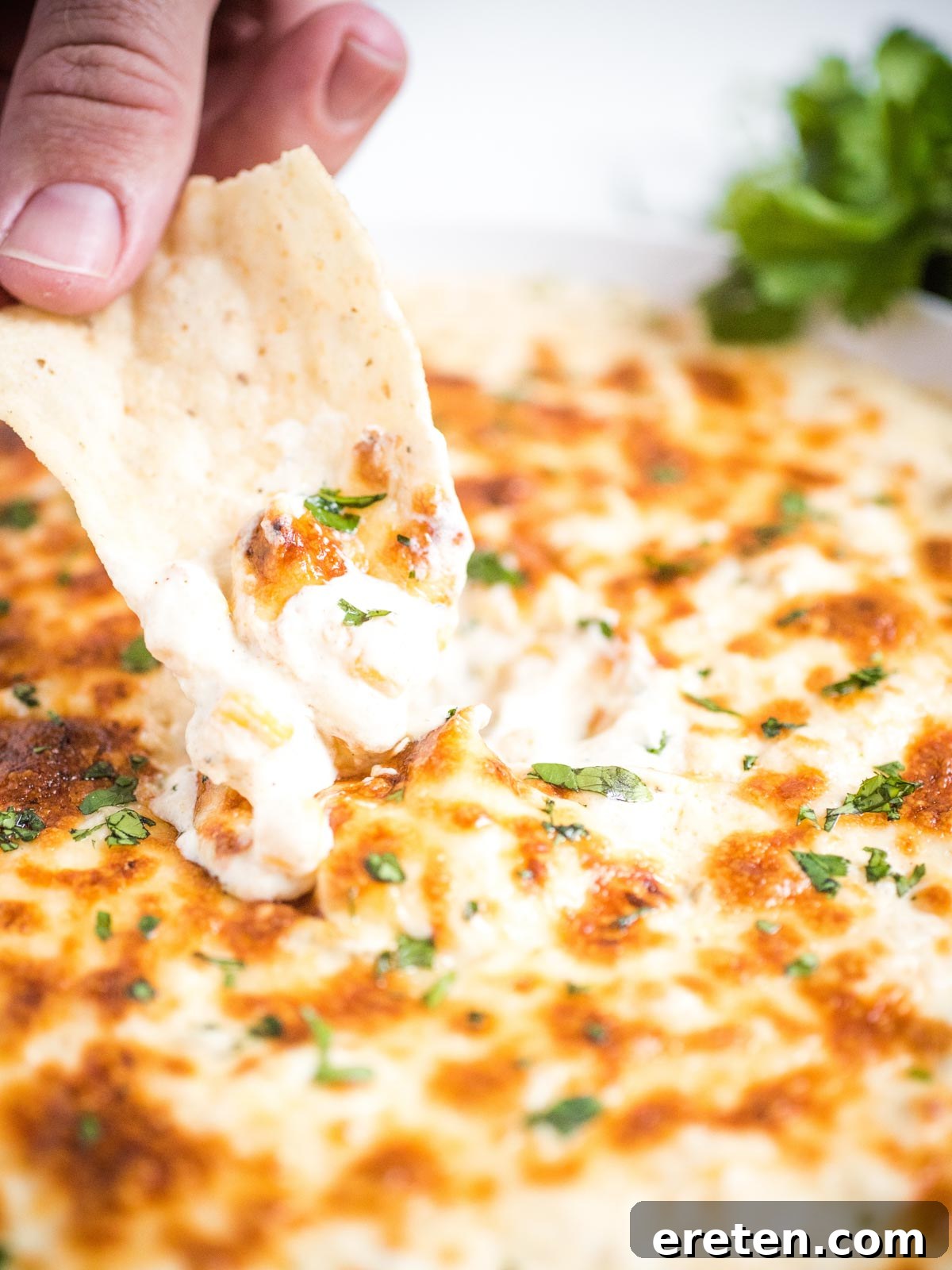 A delicious chip dipping into a vibrant, cheesy green chile queso blanco dip, perfect for parties and game days.