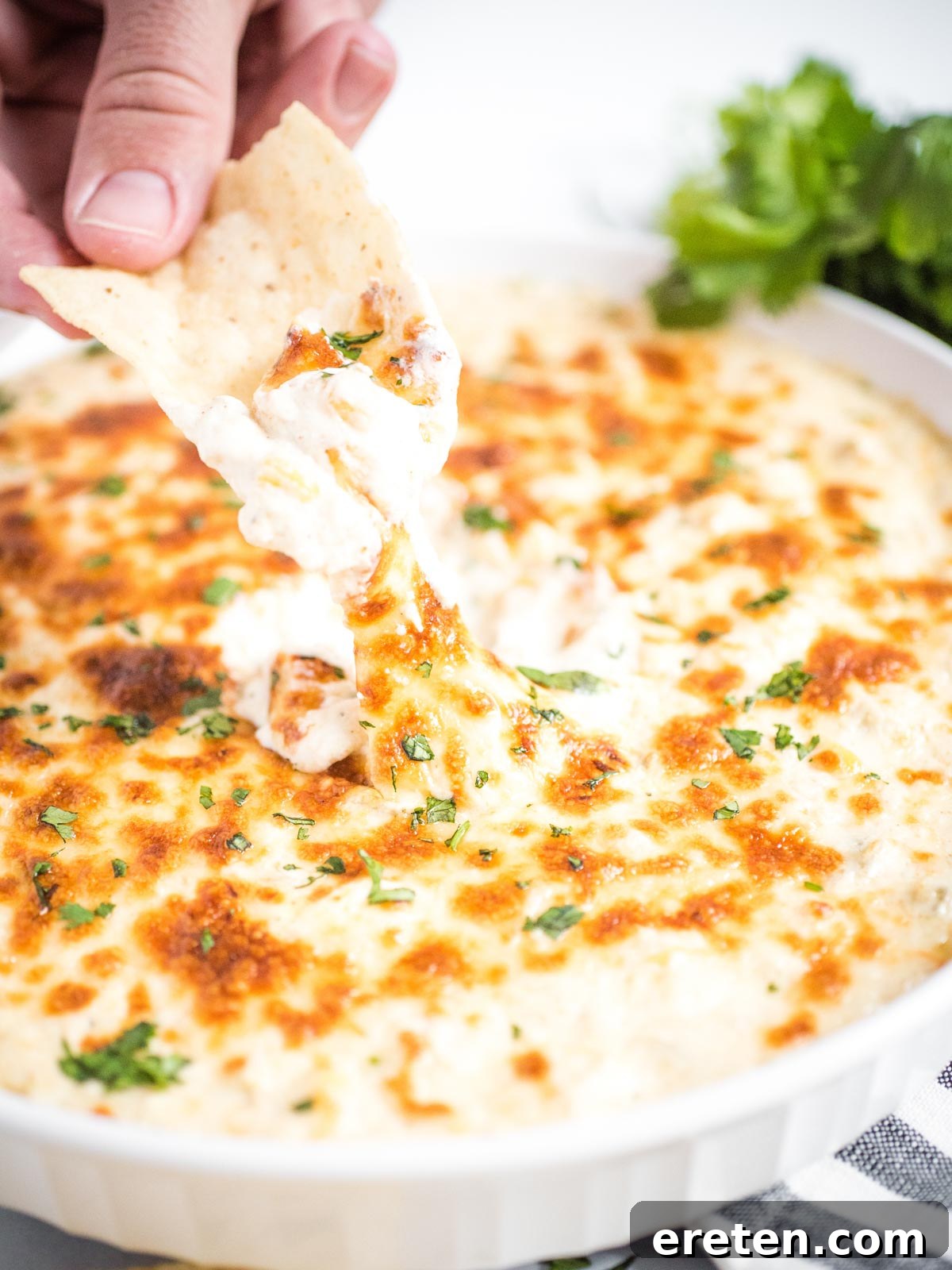 A chip pulls away from a serving dish of green chile queso blanco dip, showing off its irresistible cheese pull.