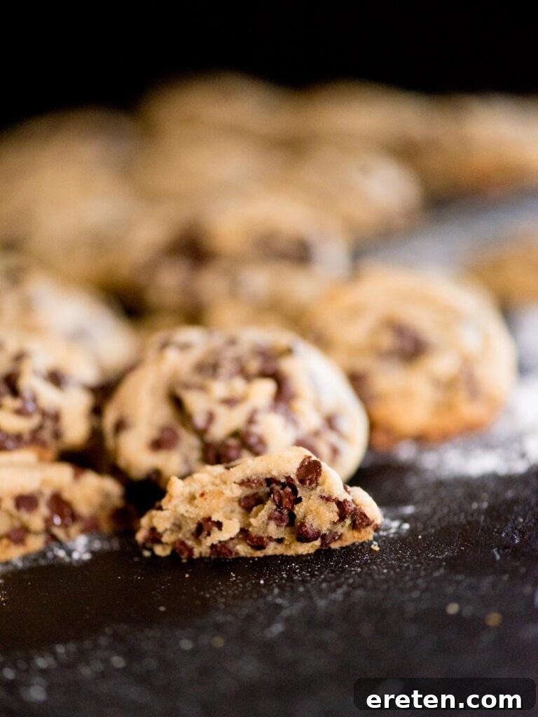A perfectly torn open soft and chewy chocolate chip cookie, revealing its tender, gooey interior with melted chocolate