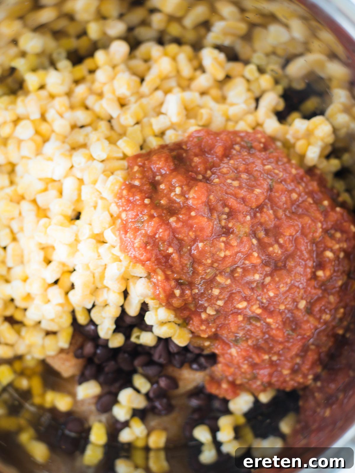 ingredients in instant pot with salsa
