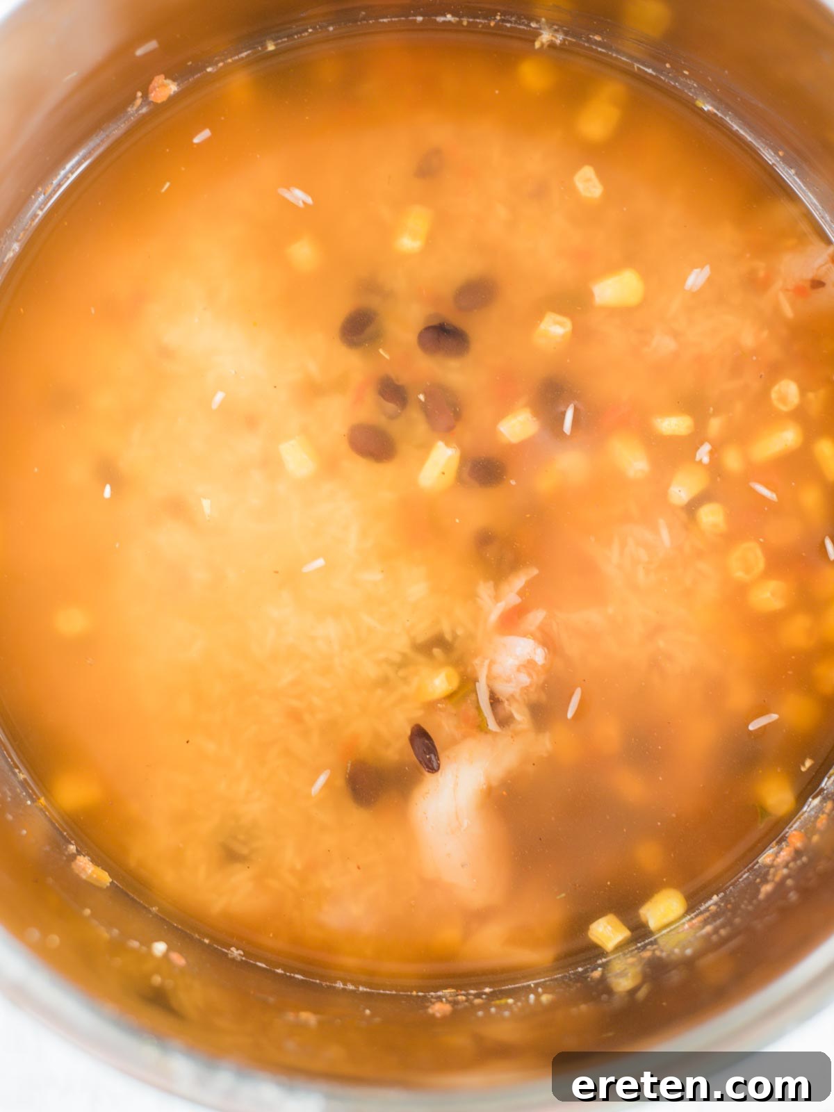 all ingredients in the instant pot sleeve with broth