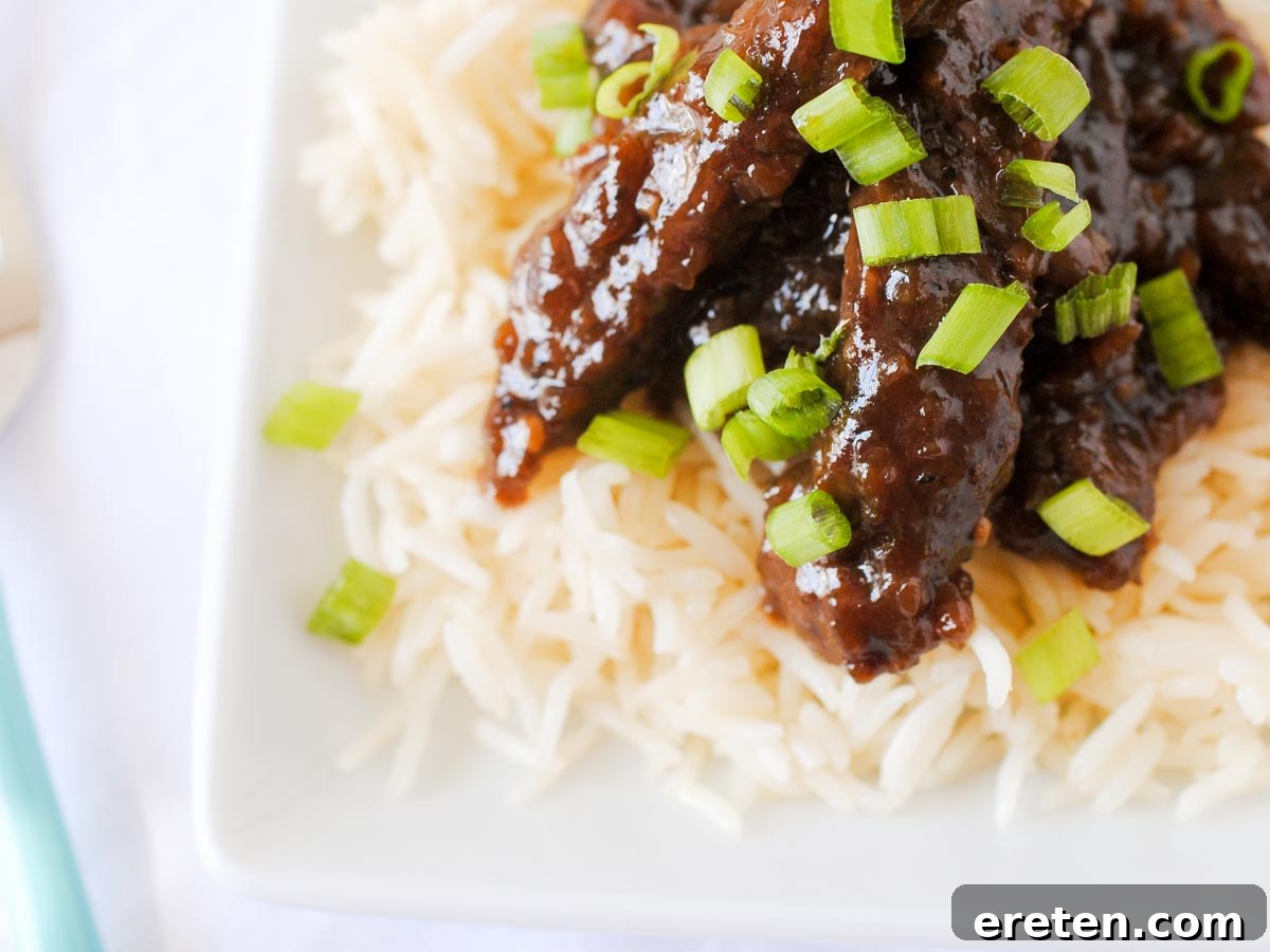 Sweet and Savory Teriyaki Beef with Rice 4 Juicy beef teriyaki generously coated in sauce, served with white rice and sliced green onions.