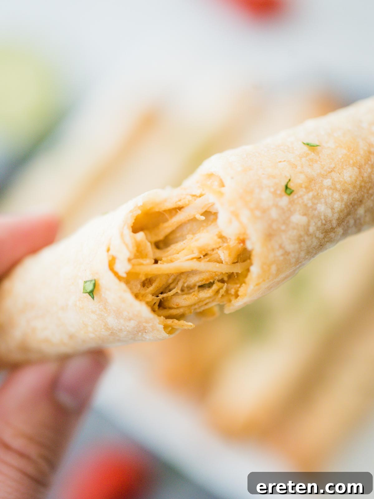 Crispy Creamy Chicken Taquitos 5 A baked chicken taquito being gently torn apart, revealing the warm, melty pepper jack cheese and creamy shredded chicken filling inside.