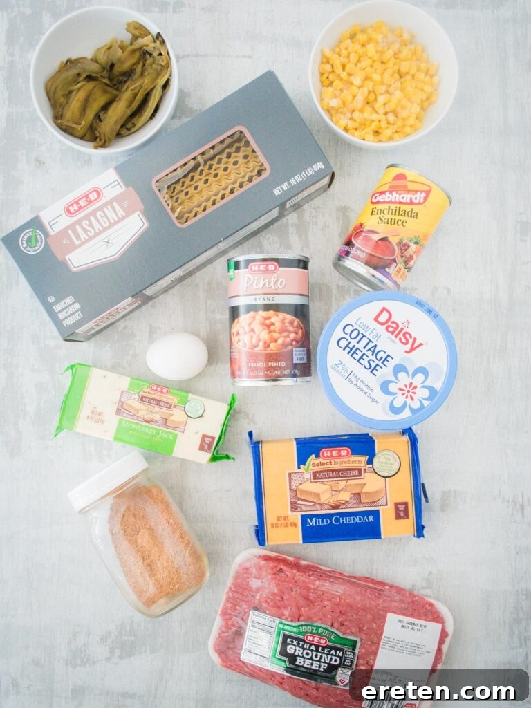Kickin Tex Mex Lasagna 3 All the fresh and pantry ingredients laid out for making Tex Mex lasagna, including ground beef, spices, cheeses, and vegetables.