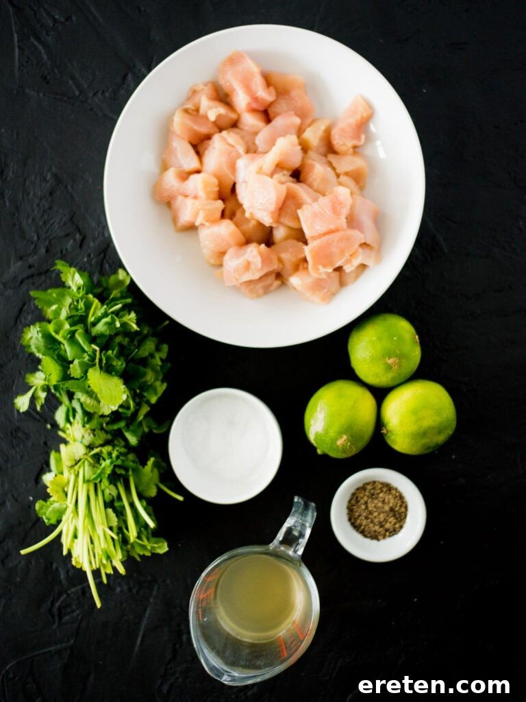ingredients for slow cooker cilantro lime chicken arranged on a counter
