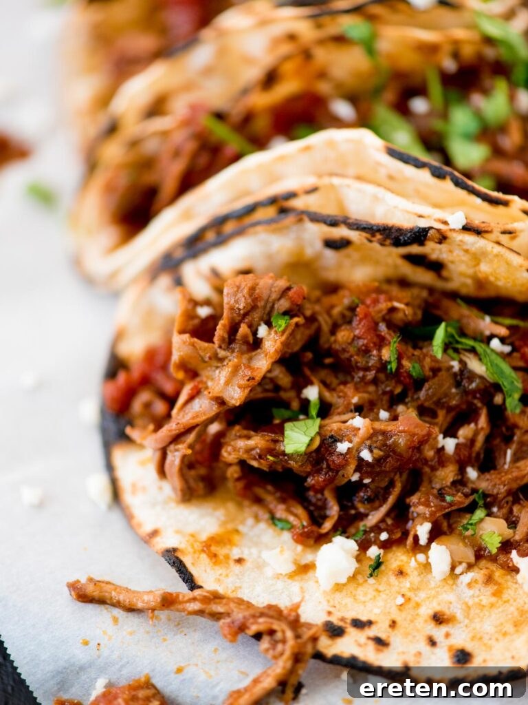 mexican shredded beef inside tacos topped with cilantro and queso fresco