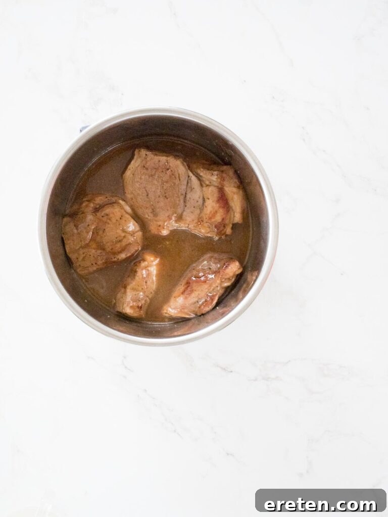 pulled pork in sauce inside instant pot