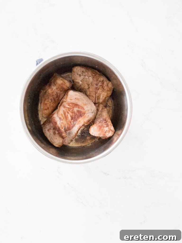 seared pork in instant pot