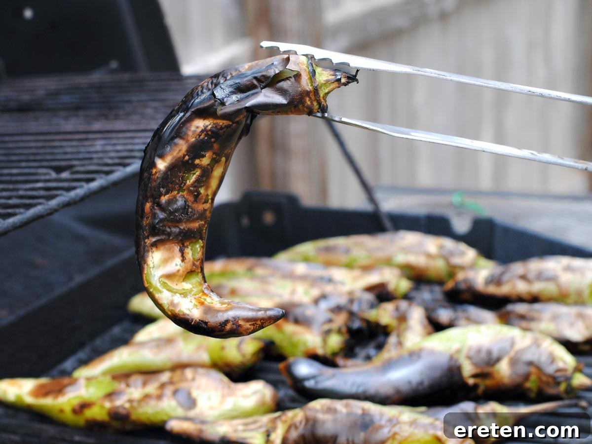 Tongs holding a perfectly roasted green chile above the grill