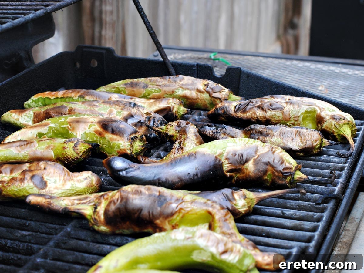 Batch of perfectly roasted green chiles resting on grill grates