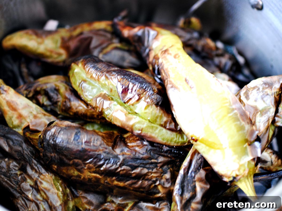 Roasted green chiles steaming in a pot covered with a wet towel