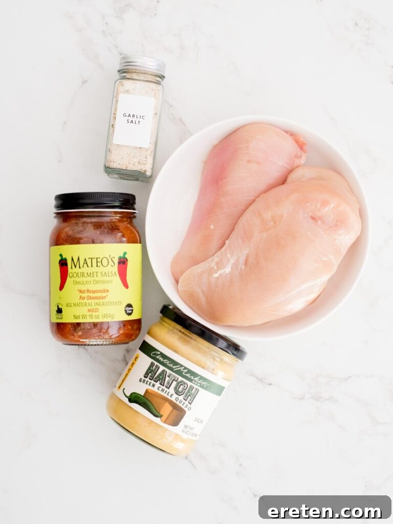 Slow Cooker Salsa Chicken with Melted Queso 3 ingredients for crockpot salsa chicken with queso